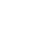KIA Service in Brandenburg, Gardelegen & Stendal